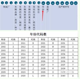 汽车多少码看哪里